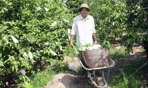 Làm giàu từ mô hình "lấy ngắn nuôi dài"
