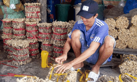 Làng nghề khô cá biển Rạch Gốc vào mùa Tết