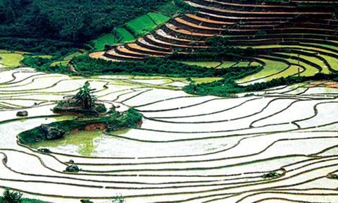 Giải pháp nào thu hút du lịch Lai Châu