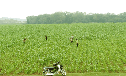 Thanh Hà: Khai thác tiềm năng lợi thế để phát triển kinh tế - xã hội