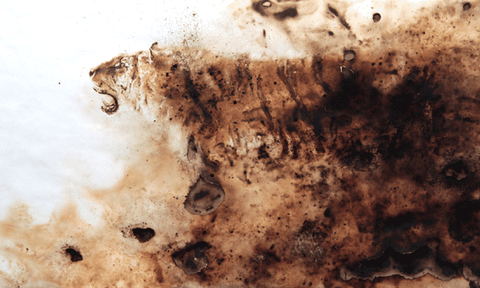 Họa sĩ Trung Nghĩa đốt cháy Giấc mơ cao nguyên