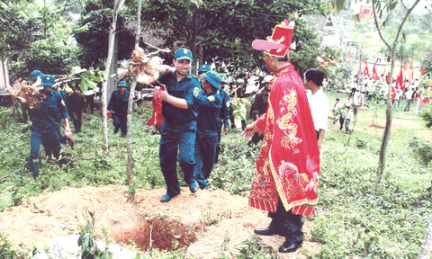 Những cây báng ở đền Qủa Sơn