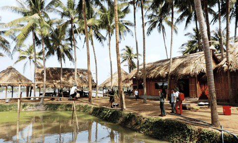 Sắc xuân Xứ Dừa