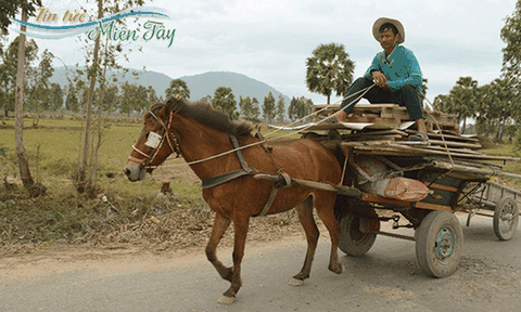 Chiều cuối năm nao lòng với tiếng xe ngựa miền Tây 