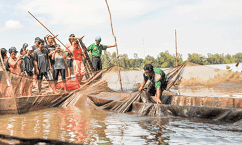 Tát đìa đón Tết ở miền Tây