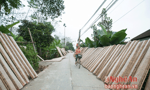 Nhịp sống làng bánh đa dịp cuối năm