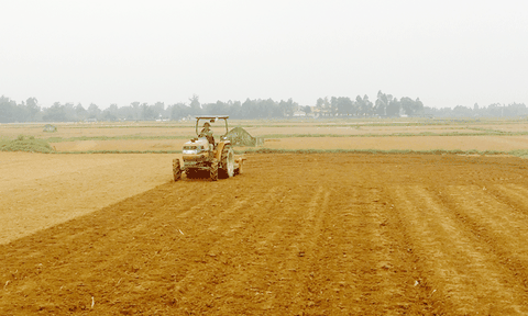 Đảng bộ xã Diễn Hoàng: Gắn công tác xây dựng Đảng với lãnh đạo phát triển kinh tế - xã hội