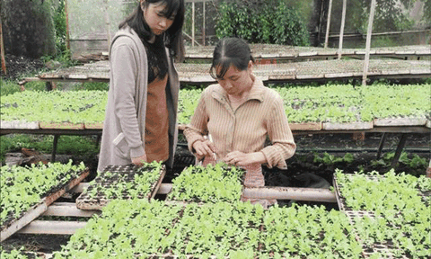 Đi chợ nông sản “sạch”