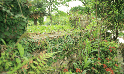 Đàn tế thần sông, thần núi duy nhất ở Việt Nam