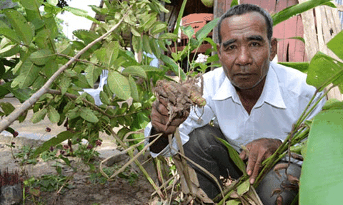 Người đặc biệt ở Miền Tây: Kỳ nhân Bảy Núi