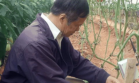 Nông dân tưới vườn bằng smartphone