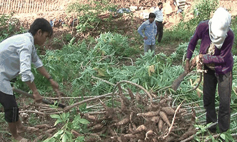 Chủ trương hợp lòng dân