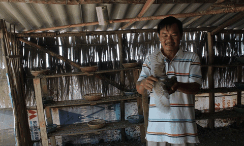 Thành triệu phú nhờ cho chim nghe nhạc "sến" 