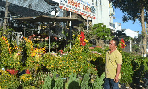 Độc đáo sản phẩm Tết hình con gà