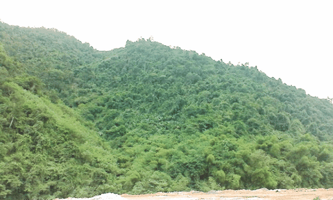 BQL rừng phòng hộ Kỳ Sơn: Năm 2016, đạt nhiều thành tựu đáng ghi nhận