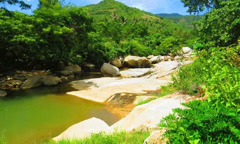 Vườn quốc gia Phước Bình: Khám phá sự kỳ bí - hấp dẫn