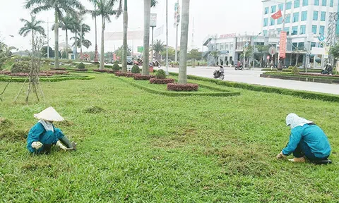 Làm đẹp phố những ngày giáp Tết