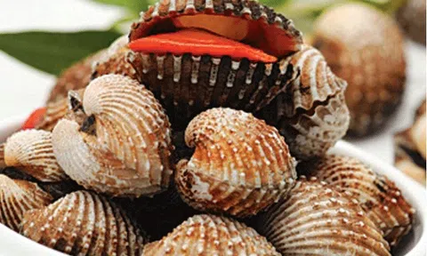 Về Cà Mau đi bắt sò huyết