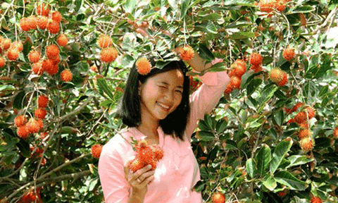 Qua miền trái cây Nam bộ