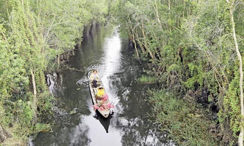 Đồng Tháp Mười - Nỗi nhớ khách phương xa...