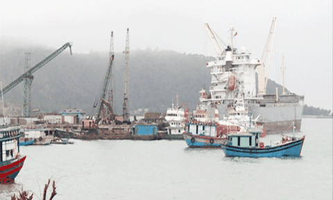 Quảng Trạch: Kịp thời đưa Nghị quyết của Đảng vào cuộc sống