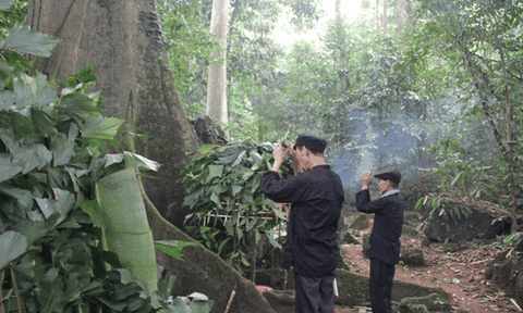 Nhân văn lễ hội cúng rừng của người Nùng 