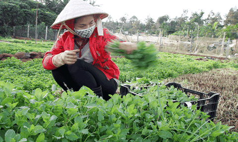 Xóm Ruộng "lên đời"