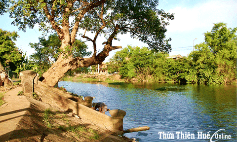 Sông Phổ Lợi qua Mộc bản triều Nguyễn