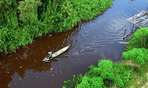 Tục táng người trong vườn nhà của người miền Tây