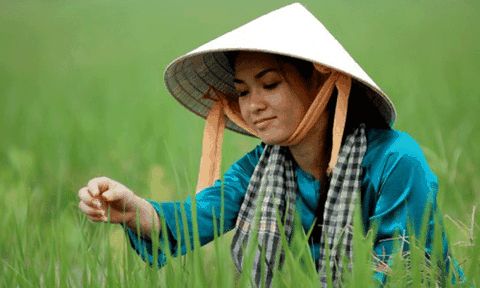 Nét đẹp người con gái phương Nam qua chiếc áo bà ba