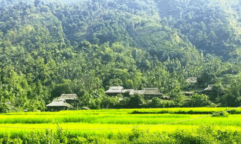 Độc đáo tục "trèo cột" của người Tày Tây Bắc