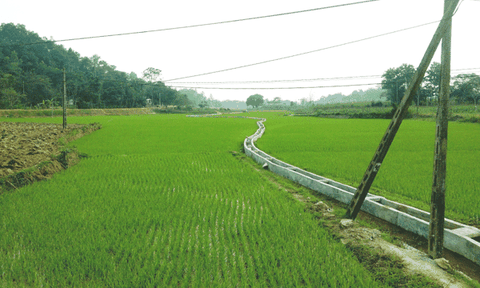 Tiên Kỳ tạo bước đột phá trong phát triển kinh tế - xã hội