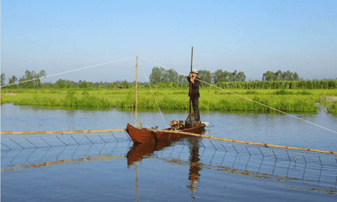 Người miền Tây đẩy côn mùa nước nổi