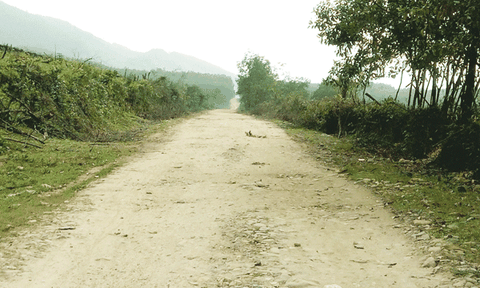 Kỳ Lạc: Thực hiện đồng bộ các giải pháp để phát triển kinh tế - xã hội