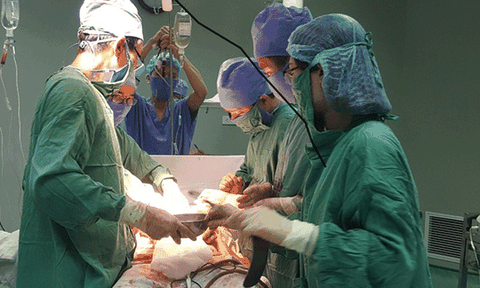 Tử vong vì bị trâu húc lòi ruột, gãy xương sườn 