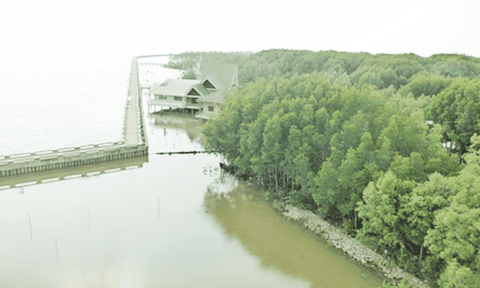 Du xuân về đất Mũi Cà Mau thân yêu 