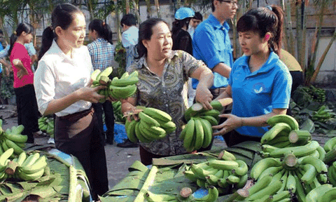 Đã có 20 tấn chuối 'ế' của nông dân Đồng Nai được giải cứu 
