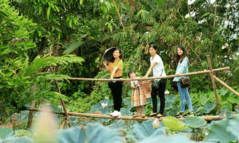 Khám phá Cồn Sơn giữa lòng sông Hậu