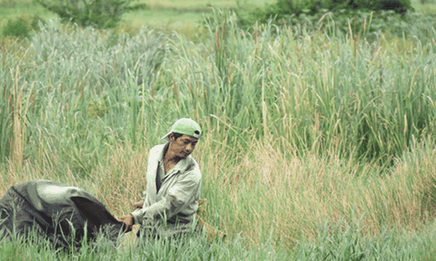 Kiếm tiền triệu mỗi ngày ở TPHCM nhờ việc lội đồng 