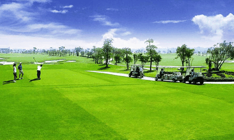Quảng Ngãi xây học viện golf: Ý tưởng của doanh nghiệp 