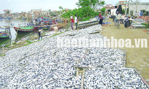 Giữ “bình sữa bãi ngang”, “né” đạt chuẩn nông thôn mới?