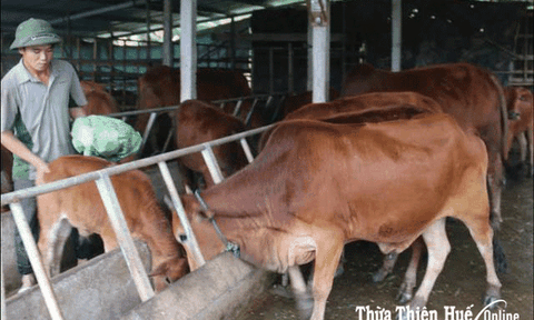 Tiếp sức cho đồng bào thoát nghèo