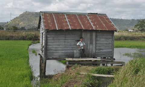 Lạ lùng 'ma lúa' giữ kho thóc của đồng bào