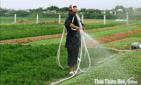 Trang trại chờ chính sách, cơ chế