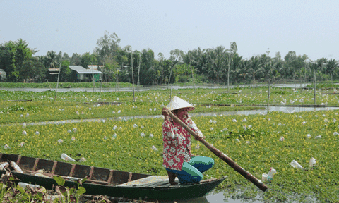 Tham quan cồn Phú Mỹ