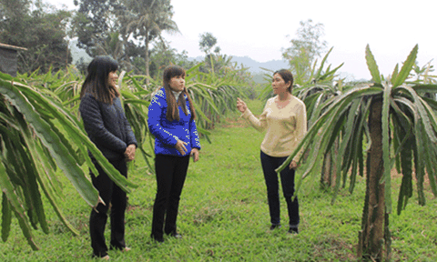 Những ‘bông hoa’ nở trên vùng đất khó