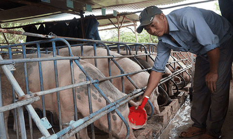 Chàng trai người Nùng và mô hình VAC