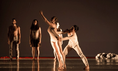 Múa đương đại Việt Nam: Đã đi qua những đường trường đơn độc?