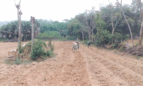 Xã Đôn Phục: Xây dựng Đảng gắn với phát triển kinh tế 