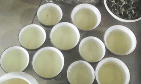 Vị thuốc quý của người Mông ở 'sống khủng long' Tà Xùa